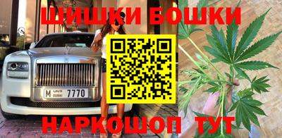 гидропоника Будённовск