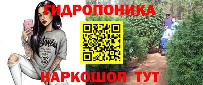 гидропоника Будённовск