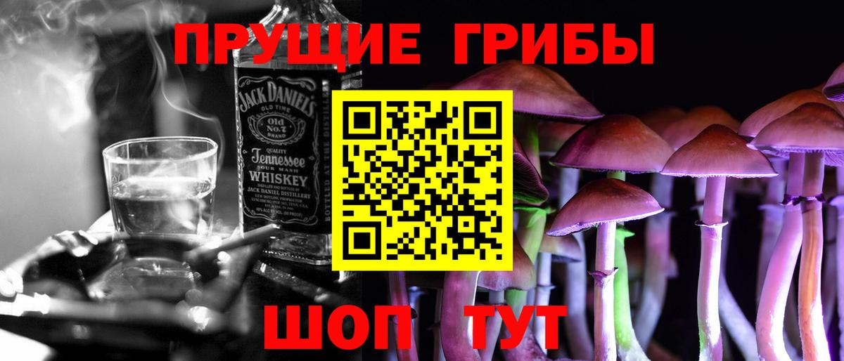 Псилоцибиновые грибы Cubensis Гусь-Хрустальный